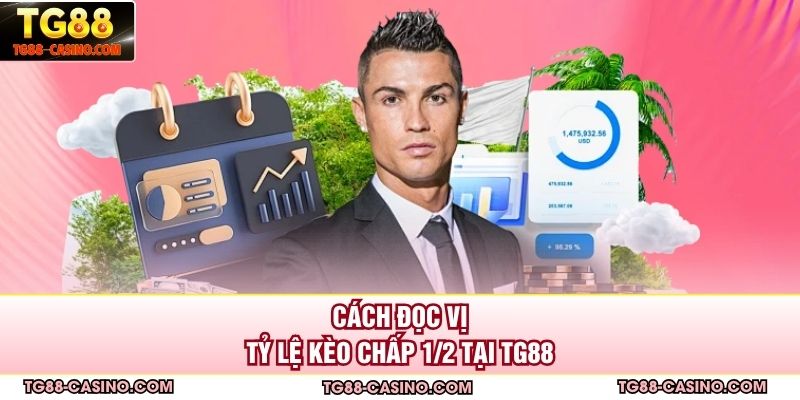 Cách đọc vị tỷ lệ kèo chấp ½ tại TG88